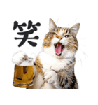 にゃんとも！ビール！（敬語やさしい日常）（個別スタンプ：7）