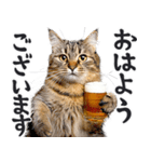 にゃんとも！ビール！（敬語やさしい日常）（個別スタンプ：9）
