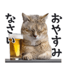 にゃんとも！ビール！（敬語やさしい日常）（個別スタンプ：12）