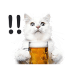 にゃんとも！ビール！（敬語やさしい日常）（個別スタンプ：15）