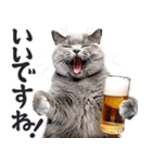 にゃんとも！ビール！（敬語やさしい日常）（個別スタンプ：19）