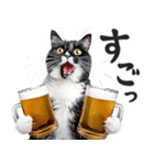 にゃんとも！ビール！（敬語やさしい日常）（個別スタンプ：20）