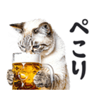 にゃんとも！ビール！（敬語やさしい日常）（個別スタンプ：21）