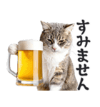 にゃんとも！ビール！（敬語やさしい日常）（個別スタンプ：22）