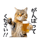 にゃんとも！ビール！（敬語やさしい日常）（個別スタンプ：23）