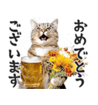 にゃんとも！ビール！（敬語やさしい日常）（個別スタンプ：24）