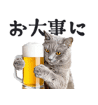 にゃんとも！ビール！（敬語やさしい日常）（個別スタンプ：25）