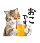 にゃんとも！ビール！（敬語やさしい日常）（個別スタンプ：28）