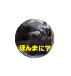 アニまるひと声（個別スタンプ：6）