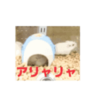 アニまるひと声（個別スタンプ：8）