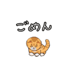 アクションk-gigi11（個別スタンプ：8）