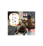 自然体（リシャラ）で行こう（個別スタンプ：8）