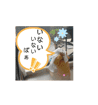 自然体（リシャラ）で行こう（個別スタンプ：10）