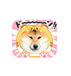 はちみつ君Part1（個別スタンプ：4）