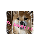 はちみつ君Part1（個別スタンプ：7）