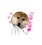 はちみつ君Part1（個別スタンプ：11）