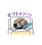 はちみつ君Part1（個別スタンプ：12）