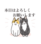 こめこの猫スタンプ[敬語]（個別スタンプ：1）