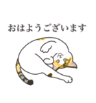 こめこの猫スタンプ[敬語]（個別スタンプ：2）