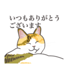 こめこの猫スタンプ[敬語]（個別スタンプ：3）