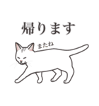 こめこの猫スタンプ[敬語]（個別スタンプ：6）