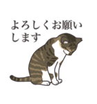 こめこの猫スタンプ[敬語]（個別スタンプ：7）