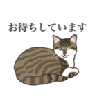 こめこの猫スタンプ[敬語]（個別スタンプ：8）