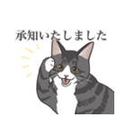 こめこの猫スタンプ[敬語]（個別スタンプ：9）