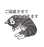 こめこの猫スタンプ[敬語]（個別スタンプ：10）