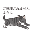 こめこの猫スタンプ[敬語]（個別スタンプ：11）