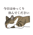 こめこの猫スタンプ[敬語]（個別スタンプ：12）