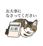 こめこの猫スタンプ[敬語]（個別スタンプ：13）