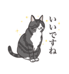 こめこの猫スタンプ[敬語]（個別スタンプ：14）