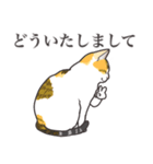 こめこの猫スタンプ[敬語]（個別スタンプ：17）
