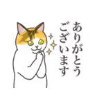 こめこの猫スタンプ[敬語]（個別スタンプ：18）
