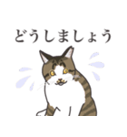 こめこの猫スタンプ[敬語]（個別スタンプ：21）