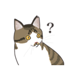 こめこの猫スタンプ[敬語]（個別スタンプ：27）