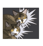 こめこの猫スタンプ[敬語]（個別スタンプ：29）