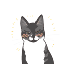 こめこの猫スタンプ[敬語]（個別スタンプ：30）
