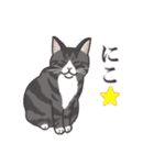 こめこの猫スタンプ[敬語]（個別スタンプ：31）