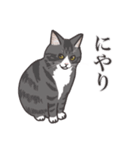 こめこの猫スタンプ[敬語]（個別スタンプ：32）