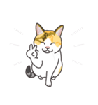 こめこの猫スタンプ[敬語]（個別スタンプ：34）