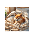 柴犬の日常8（個別スタンプ：24）