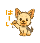 ヨークシャーテリアの毎日スタンプイラスト（個別スタンプ：1）