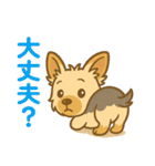 ヨークシャーテリアの毎日スタンプイラスト（個別スタンプ：2）