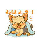 ヨークシャーテリアの毎日スタンプイラスト（個別スタンプ：6）