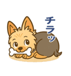 ヨークシャーテリアの毎日スタンプイラスト（個別スタンプ：11）