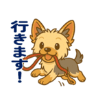 ヨークシャーテリアの毎日スタンプイラスト（個別スタンプ：12）