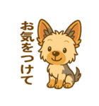 ヨークシャーテリアの毎日スタンプイラスト（個別スタンプ：14）