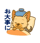 ヨークシャーテリアの毎日スタンプイラスト（個別スタンプ：16）